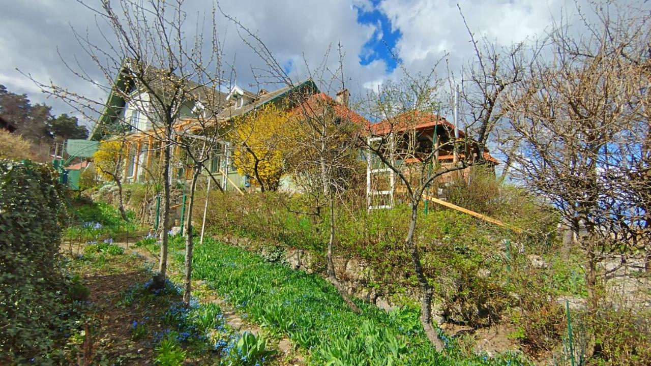 Villa Kuschmann Брашов Экстерьер фото